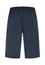 10/01/10008 STRIPED TRAININGSHORT