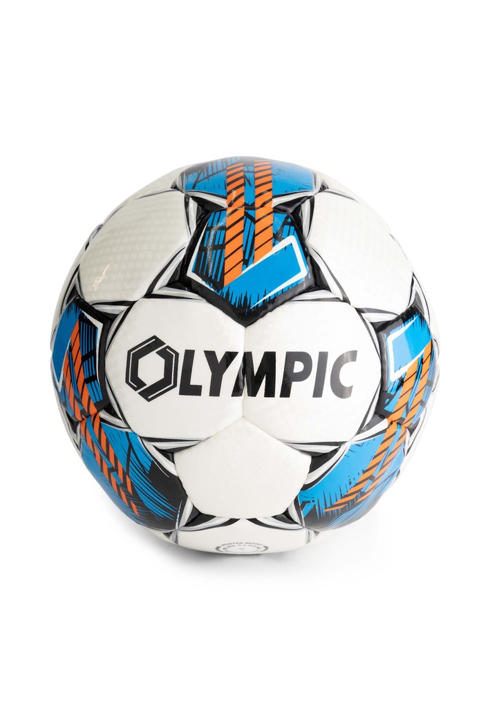 15/03/01003 PRO MATCH ball 