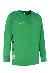 [10/01/06008116-4080] 10/01/06008 STRIPED SWEATER (116, GROEN/ZWART/WIT)